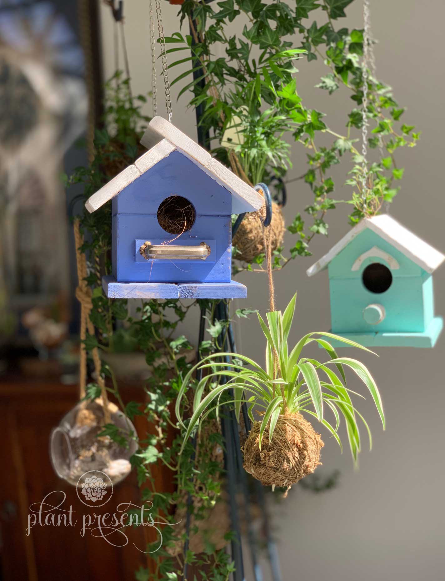 Hanging or Standing Birdhouses